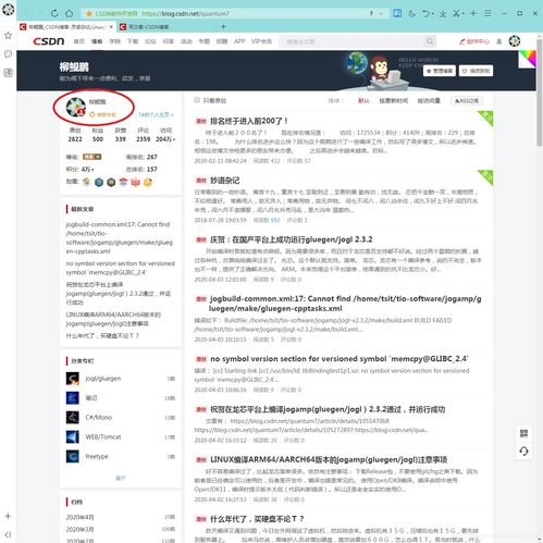 喜庆本博客成为csdn博客专家